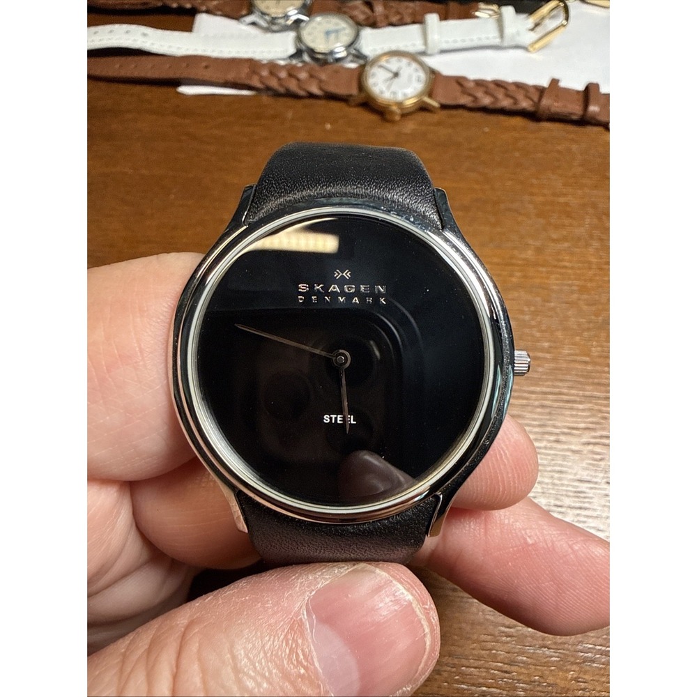Skagen Mens Ultra Thin 256LSLB Watch~Discontinued New Battery